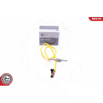 Capteur, température des gaz ESEN SKV 30SKV226