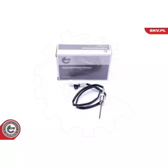 Capteur, température des gaz ESEN SKV