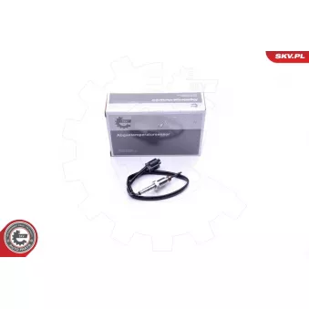 Capteur, température des gaz ESEN SKV 30SKV231