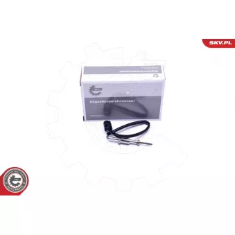 Capteur, température des gaz ESEN SKV 30SKV232