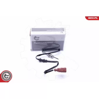 Capteur, température des gaz ESEN SKV 30SKV233