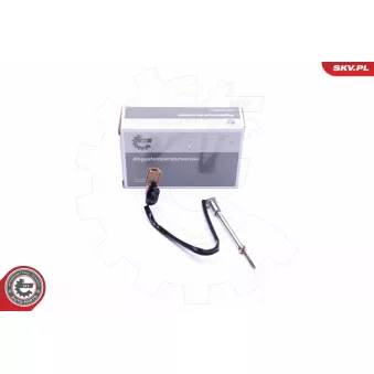 Capteur, température des gaz ESEN SKV 30SKV234