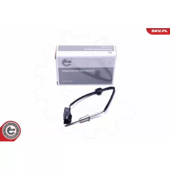 Capteur, température des gaz ESEN SKV 30SKV237