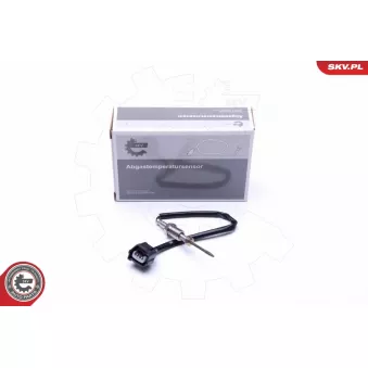 Capteur, température des gaz ESEN SKV 30SKV238