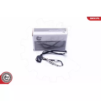 Capteur, température des gaz ESEN SKV