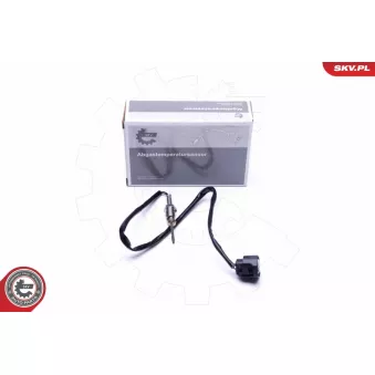 Capteur, température des gaz ESEN SKV 30SKV240