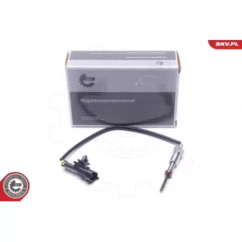 Capteur, température des gaz ESEN SKV 30SKV241