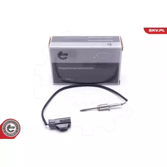 Capteur, température des gaz ESEN SKV 30SKV242