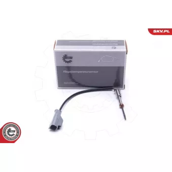 Capteur, température des gaz ESEN SKV 30SKV243
