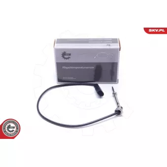 Capteur, température des gaz ESEN SKV 30SKV246