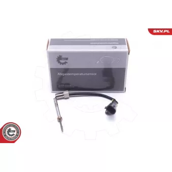 Capteur, température des gaz ESEN SKV 30SKV247