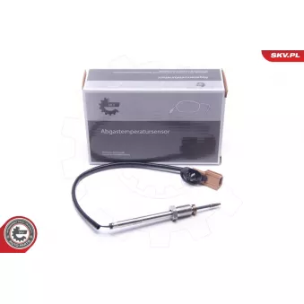 Capteur, température des gaz ESEN SKV