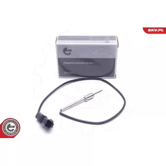 Capteur, température des gaz ESEN SKV 30SKV251