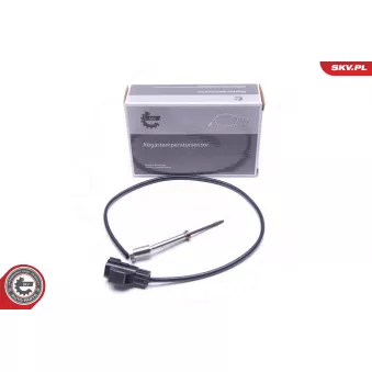 Capteur, température des gaz ESEN SKV 30SKV252