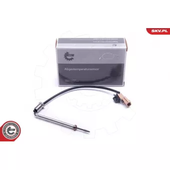 Capteur, température des gaz ESEN SKV 30SKV254