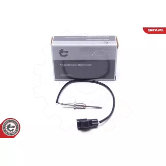 Capteur, température des gaz ESEN SKV