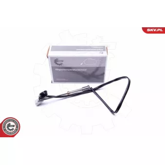 Capteur, température des gaz ESEN SKV 30SKV256