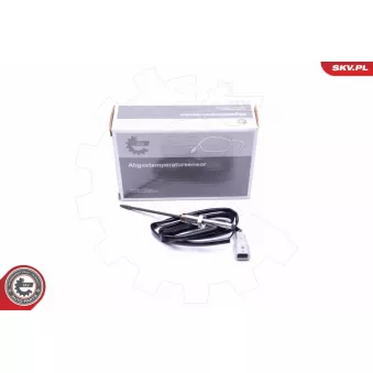 Capteur, température des gaz ESEN SKV 30SKV257