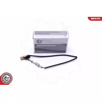 Capteur, température des gaz ESEN SKV 30SKV258