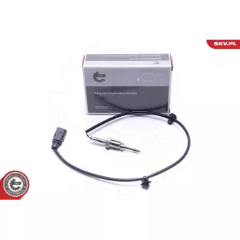 Capteur, température des gaz ESEN SKV 30SKV261