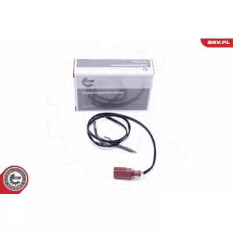 Capteur, température des gaz ESEN SKV 30SKV262