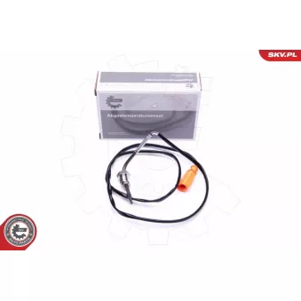 Capteur, température des gaz ESEN SKV 30SKV263