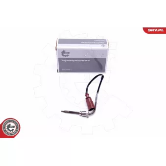 Capteur, température des gaz ESEN SKV 30SKV264