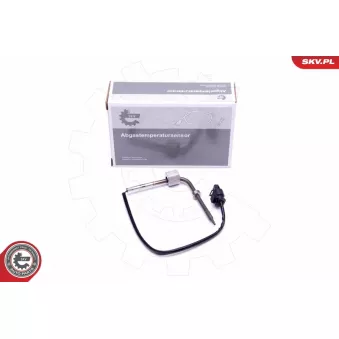 Capteur, température des gaz ESEN SKV 30SKV265