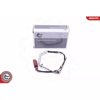 Capteur, température des gaz ESEN SKV 30SKV268