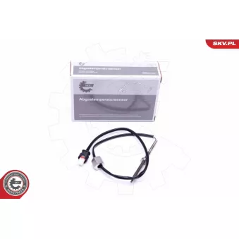 Capteur, température des gaz ESEN SKV 30SKV272
