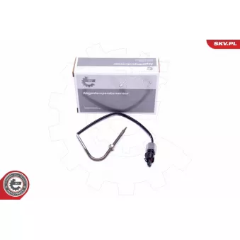 Capteur, température des gaz ESEN SKV 30SKV274