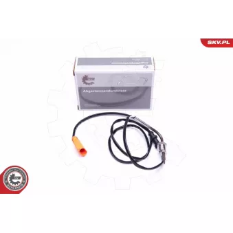 Capteur, température des gaz ESEN SKV 30SKV275