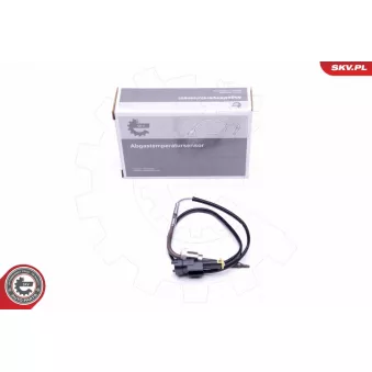 Capteur, température des gaz ESEN SKV 30SKV276