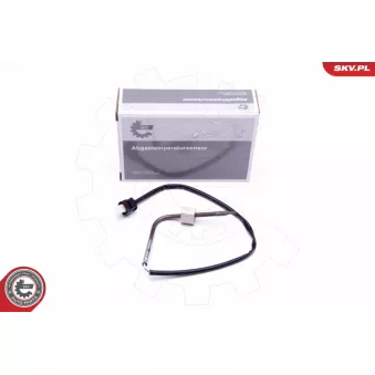 Capteur, température des gaz ESEN SKV 30SKV278
