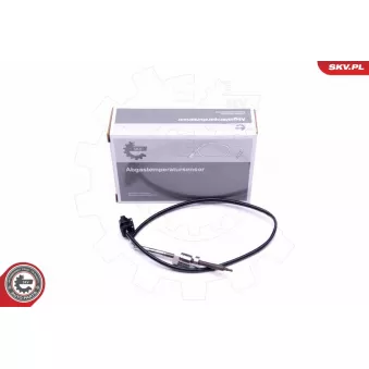 Capteur, température des gaz ESEN SKV 30SKV279