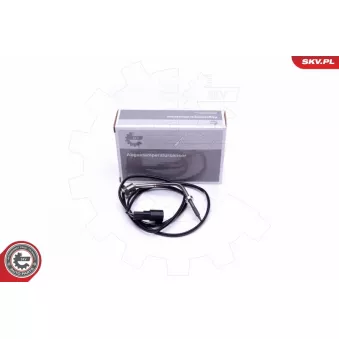 Capteur, température des gaz ESEN SKV 30SKV284
