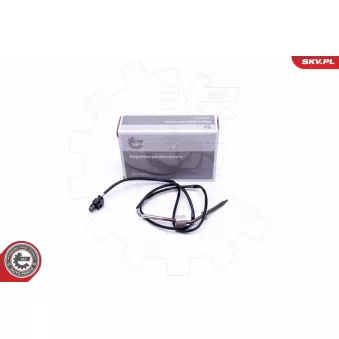 Capteur, température des gaz ESEN SKV 30SKV286
