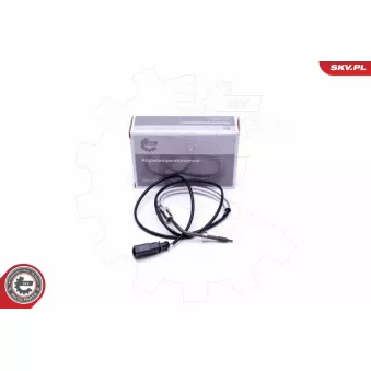 Capteur, température des gaz ESEN SKV 30SKV287