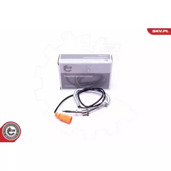 Capteur, température des gaz ESEN SKV 30SKV288