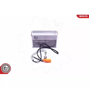 Capteur, température des gaz ESEN SKV 30SKV290