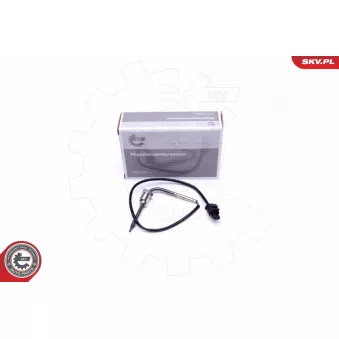 Capteur, température des gaz ESEN SKV 30SKV291