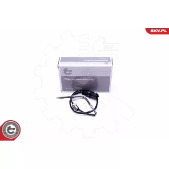 Capteur, température des gaz ESEN SKV 30SKV293