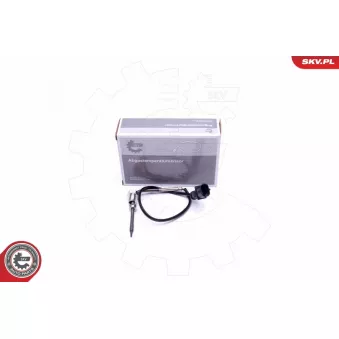 Capteur, température des gaz ESEN SKV 30SKV295