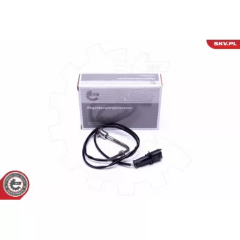 Capteur, température des gaz ESEN SKV 30SKV299