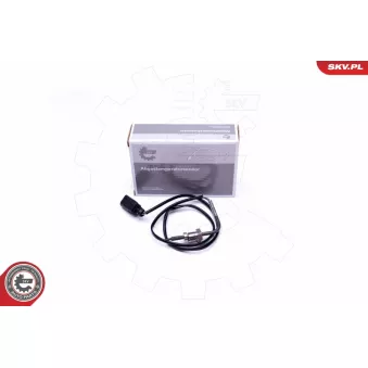 Capteur, température des gaz ESEN SKV 30SKV300