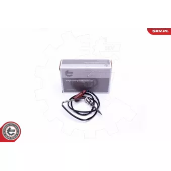 Capteur, température des gaz ESEN SKV 30SKV301