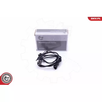 Capteur, température des gaz ESEN SKV 30SKV304