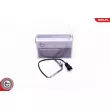 Capteur, température des gaz ESEN SKV 30SKV305 - Visuel 1