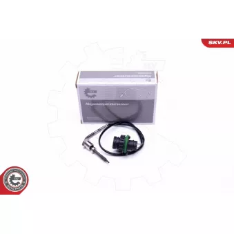 Capteur, température des gaz ESEN SKV 30SKV306