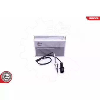 Capteur, température des gaz ESEN SKV 30SKV307